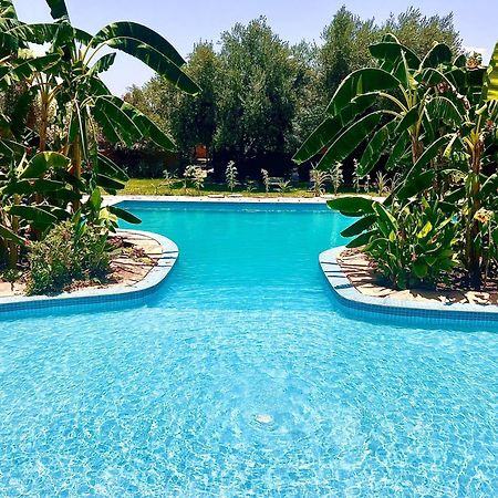 Le Domaine De Carole Marrakech Bed and Breakfast Douar Akkara Eksteriør billede