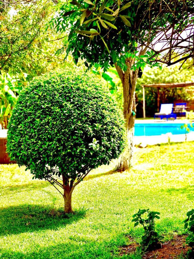 Le Domaine De Carole Marrakech Bed and Breakfast Douar Akkara Eksteriør billede
