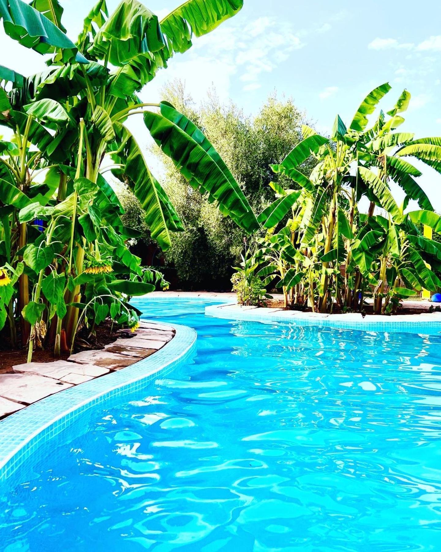 Le Domaine De Carole Marrakech Bed and Breakfast Douar Akkara Eksteriør billede
