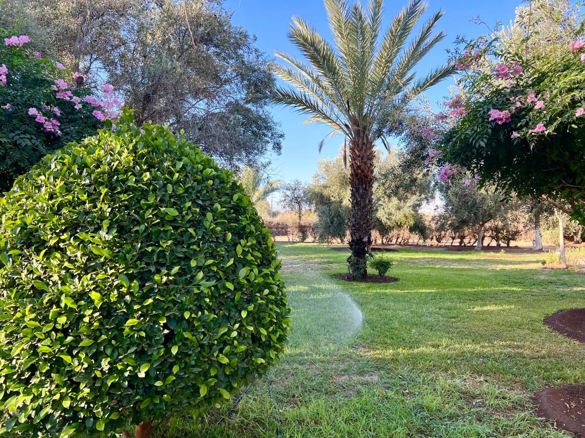 Le Domaine De Carole Marrakech Bed and Breakfast Douar Akkara Eksteriør billede