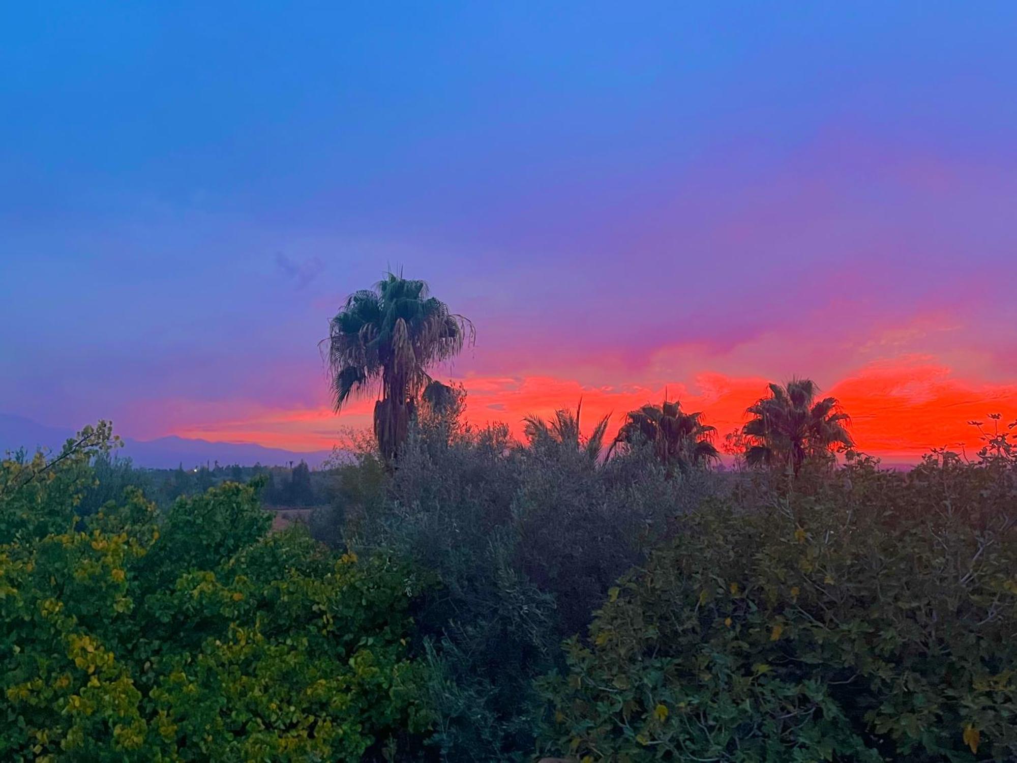 Le Domaine De Carole Marrakech Bed and Breakfast Douar Akkara Eksteriør billede