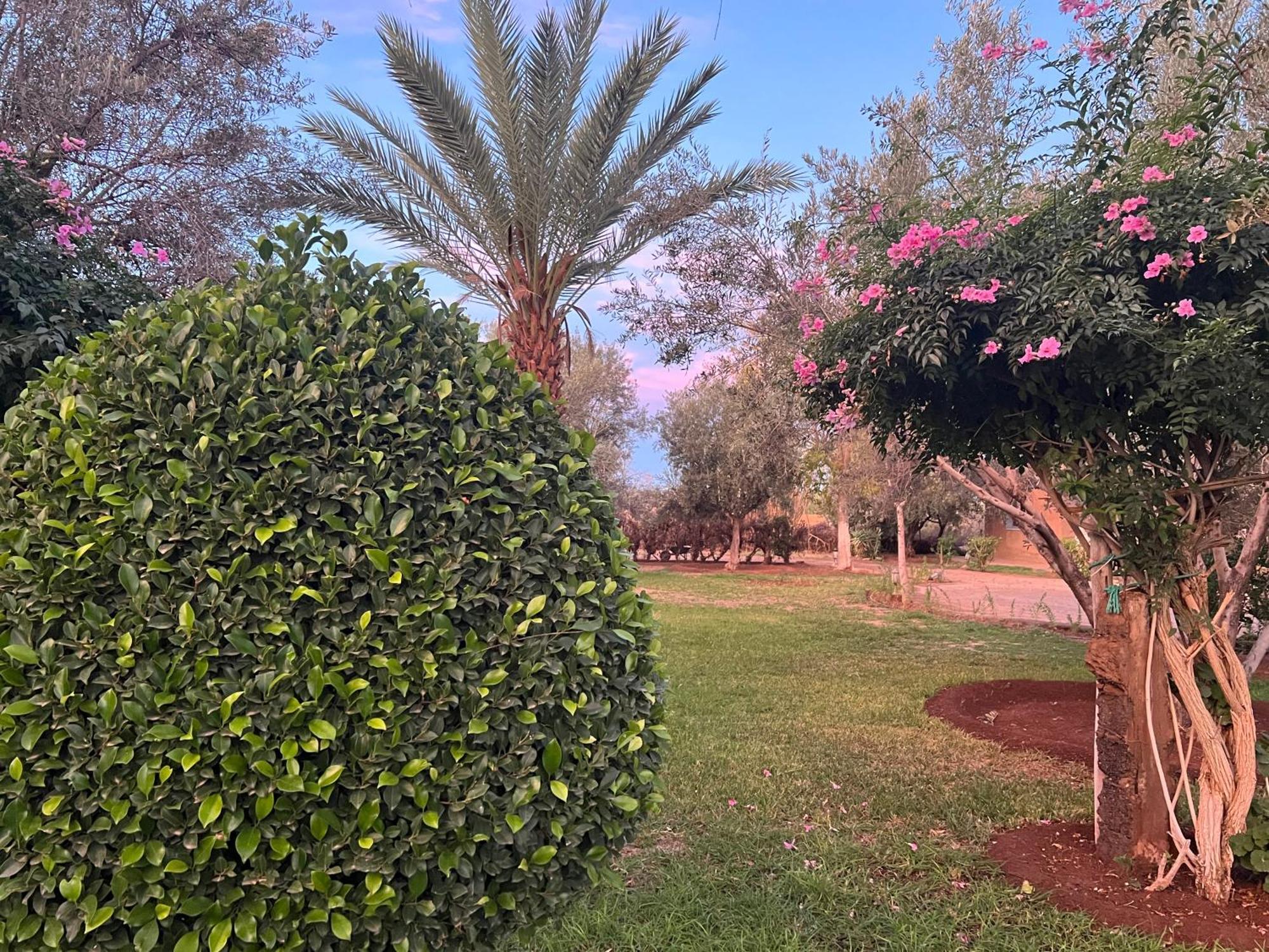 Le Domaine De Carole Marrakech Bed and Breakfast Douar Akkara Eksteriør billede
