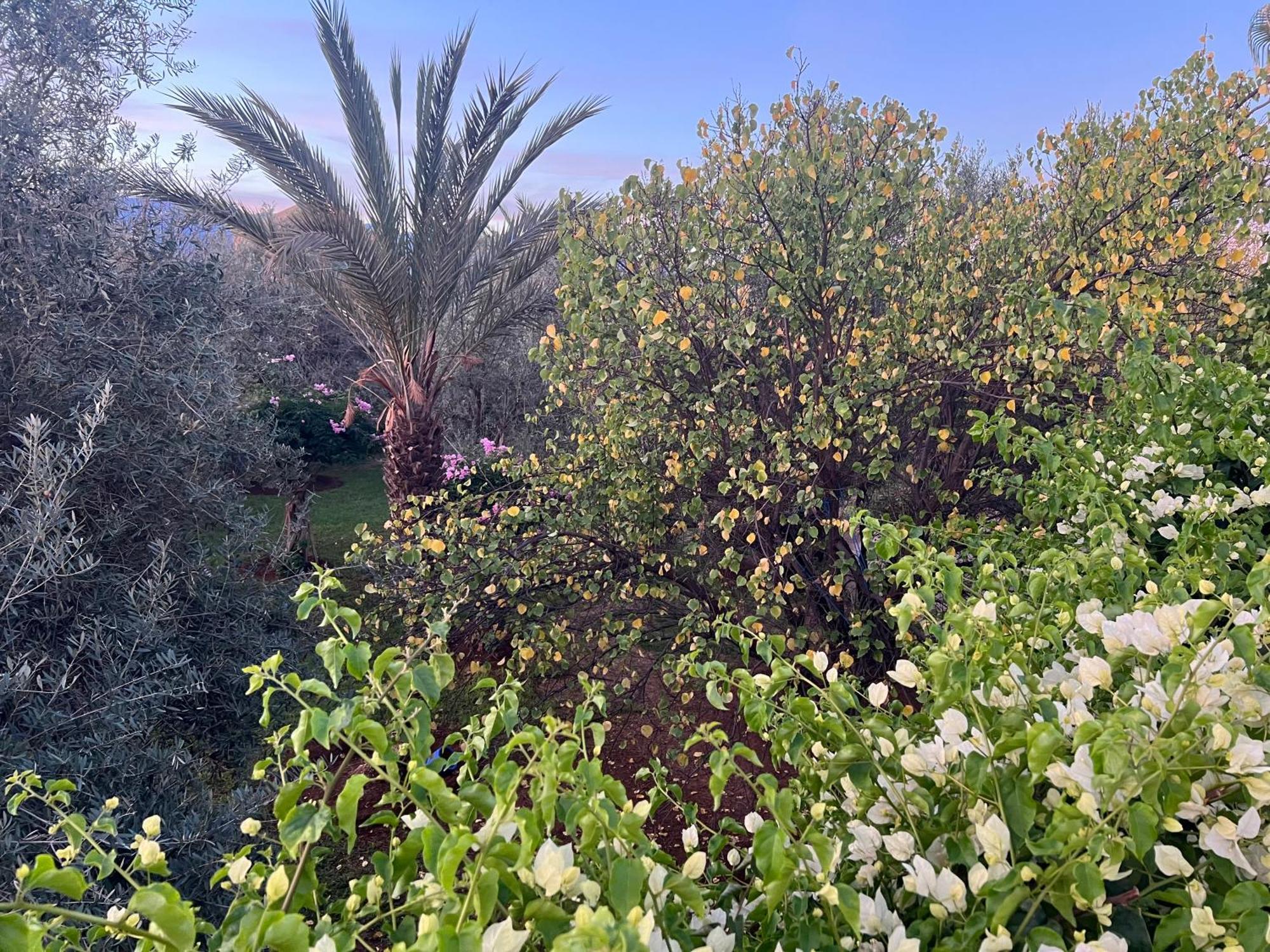 Le Domaine De Carole Marrakech Bed and Breakfast Douar Akkara Eksteriør billede