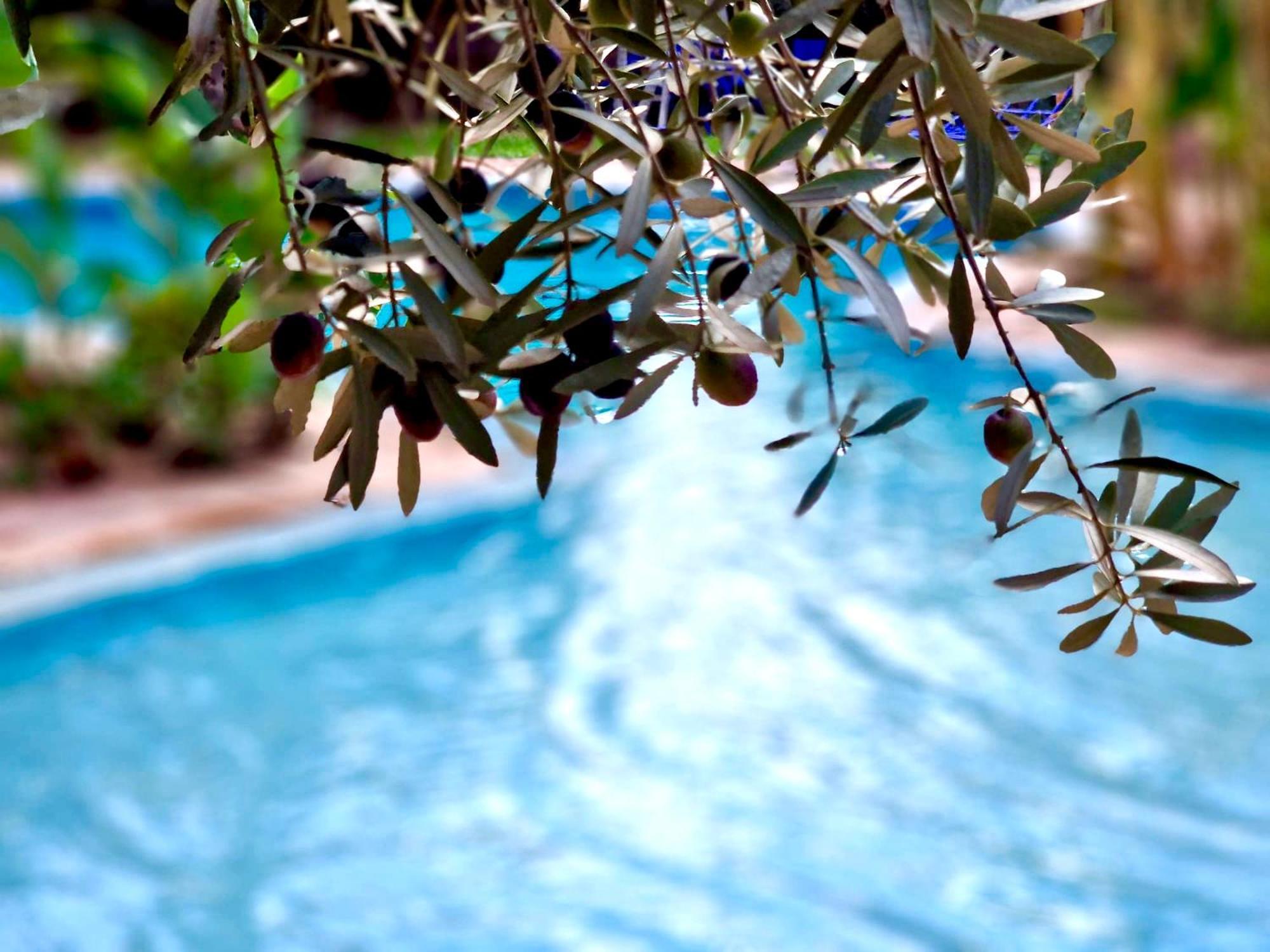 Le Domaine De Carole Marrakech Bed and Breakfast Douar Akkara Eksteriør billede