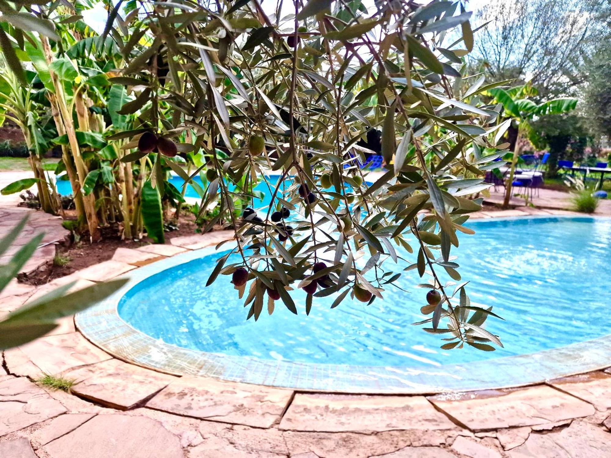Le Domaine De Carole Marrakech Bed and Breakfast Douar Akkara Eksteriør billede