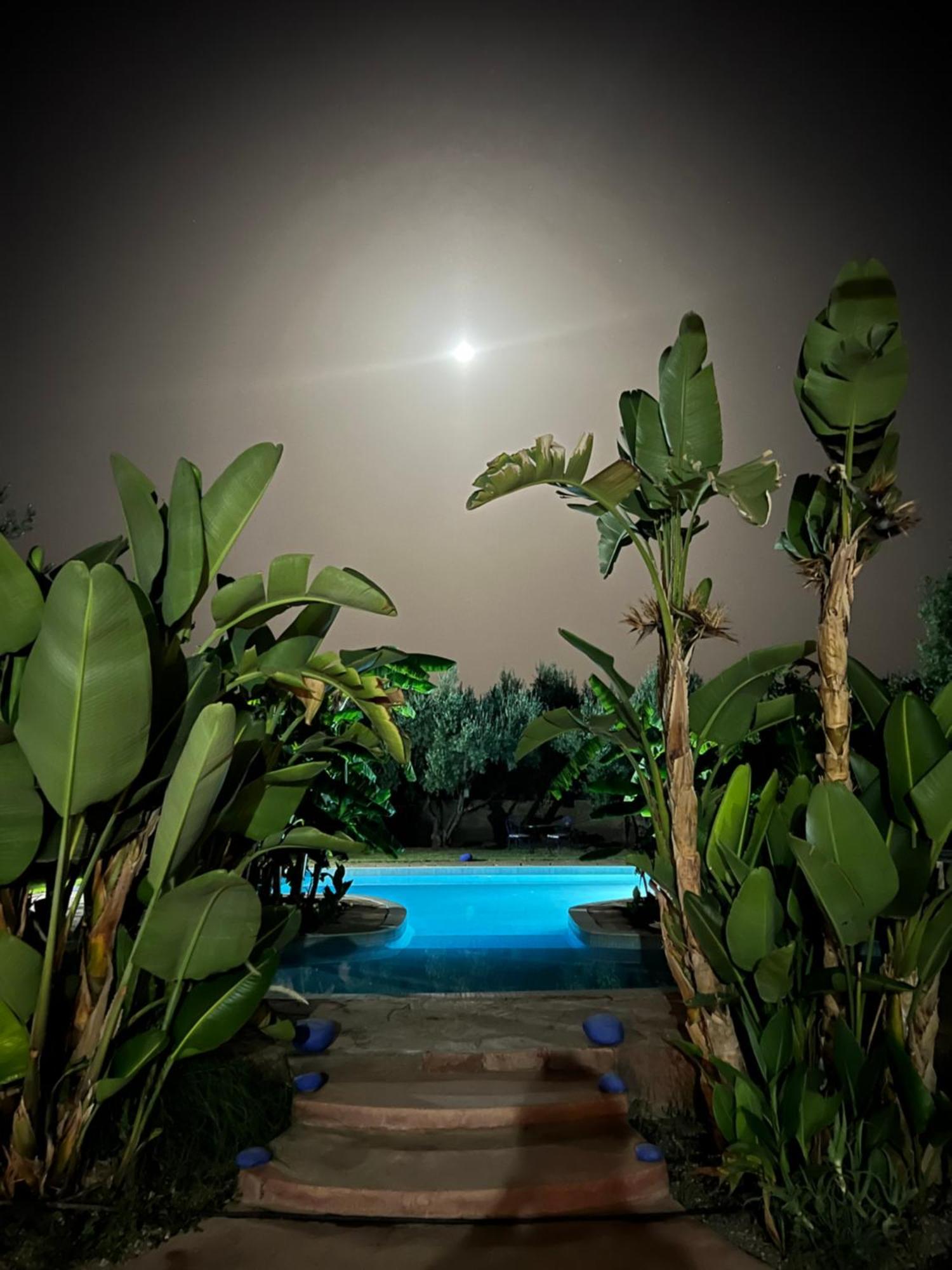 Le Domaine De Carole Marrakech Bed and Breakfast Douar Akkara Eksteriør billede