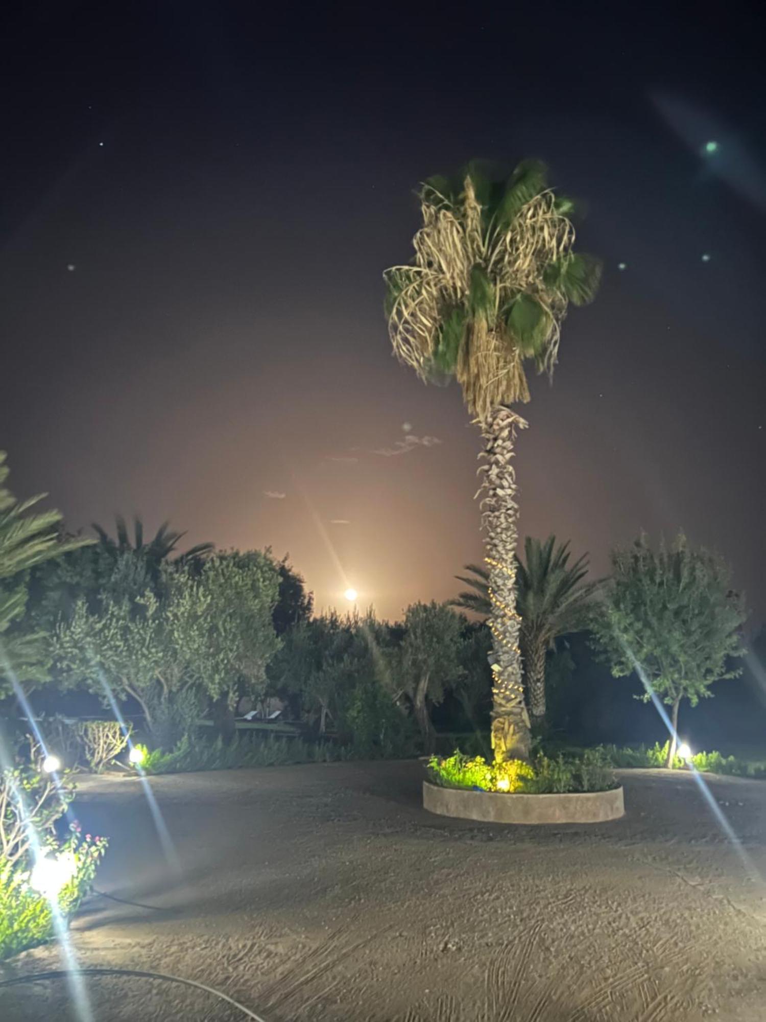 Le Domaine De Carole Marrakech Bed and Breakfast Douar Akkara Eksteriør billede
